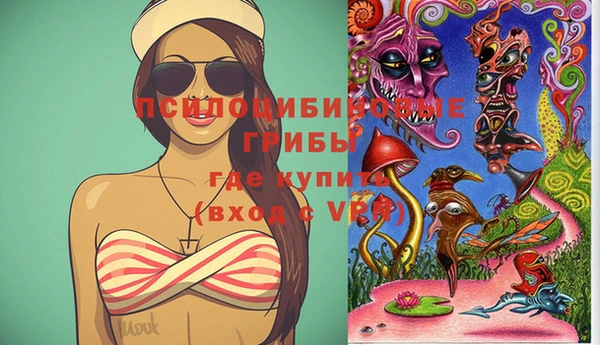 Альфа ПВП Белокуриха