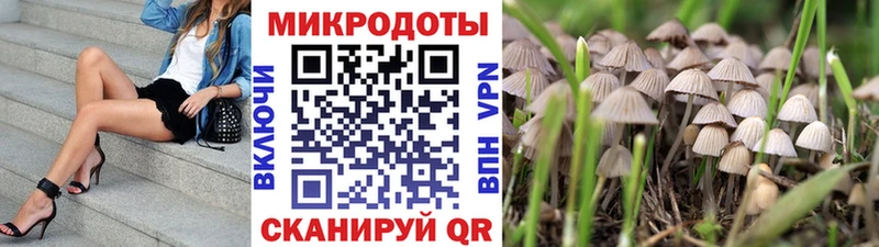 мега как зайти  Верея  Псилоцибиновые грибы GOLDEN TEACHER 